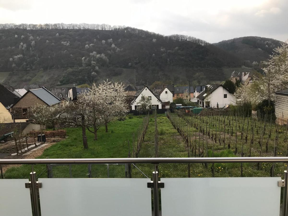 Ferienwohnung " Wein Unter Palmen " Neumagen-Dhron Eksteriør bilde