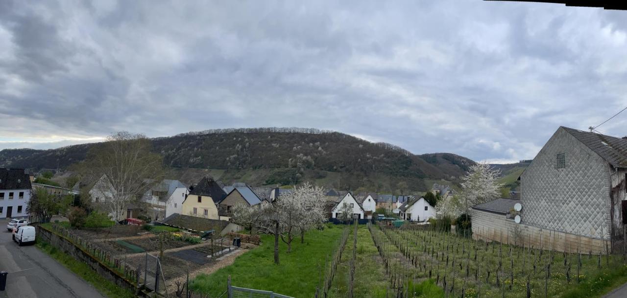 Ferienwohnung " Wein Unter Palmen " Neumagen-Dhron Eksteriør bilde